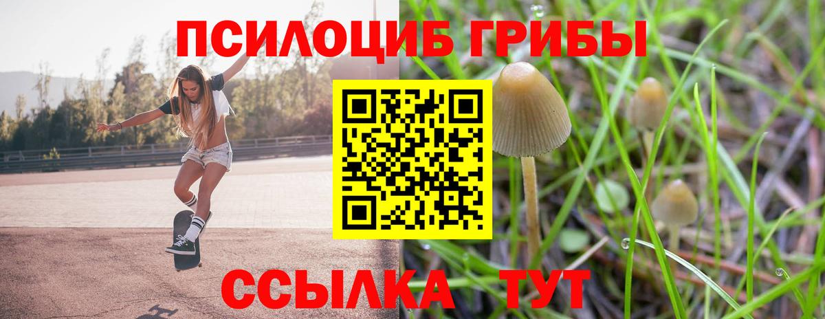 Галлюциногенные грибы Psilocybe  Вход с VPN  Морозовск  Псилоцибиновые грибы Psilocybe 